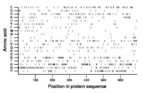 amino acid map