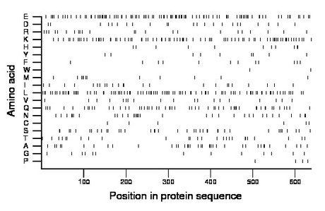 amino acid map