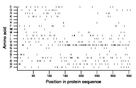 amino acid map