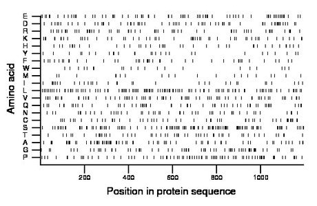 amino acid map