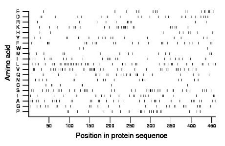 amino acid map