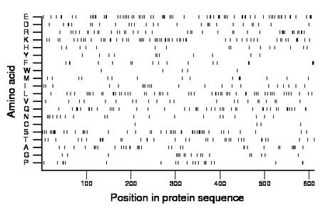 amino acid map