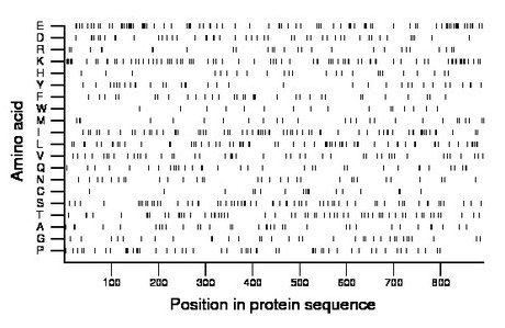 amino acid map