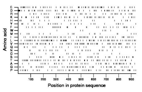 amino acid map