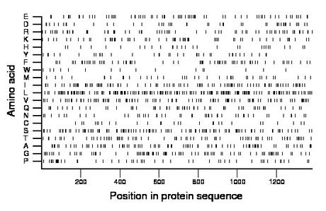 amino acid map