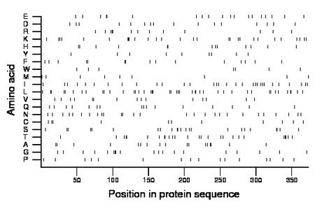 amino acid map