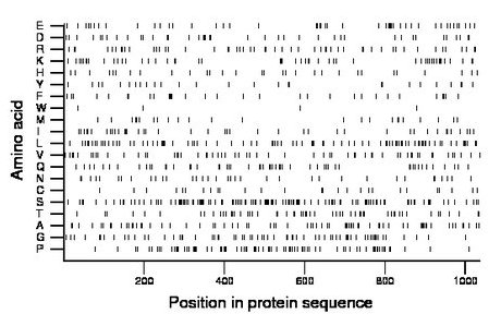 amino acid map