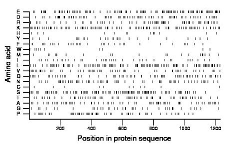 amino acid map