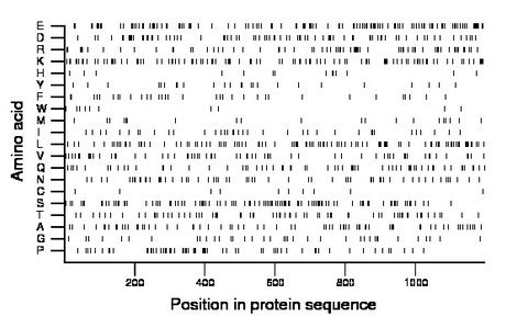 amino acid map