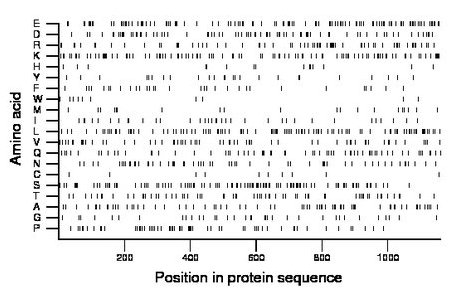 amino acid map