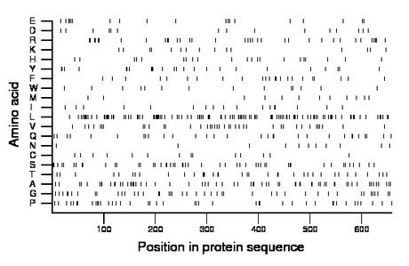 amino acid map