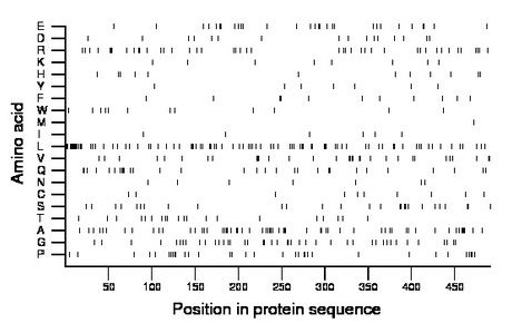 amino acid map