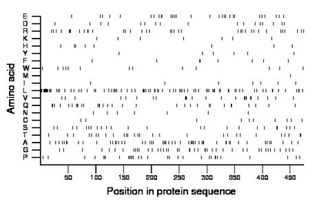 amino acid map