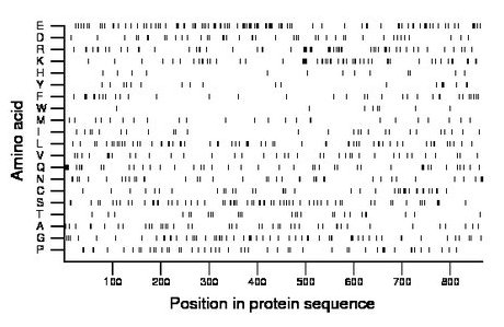 amino acid map