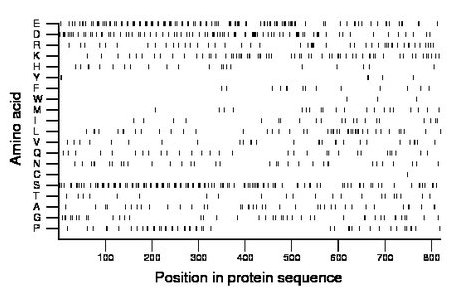 amino acid map