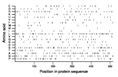 amino acid map