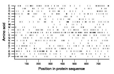 amino acid map