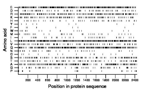 amino acid map