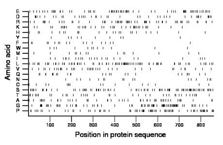 amino acid map