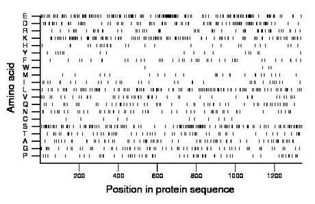 amino acid map