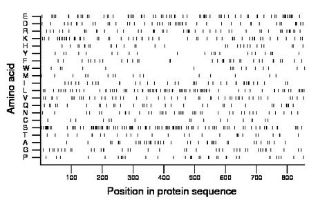 amino acid map