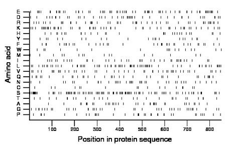 amino acid map