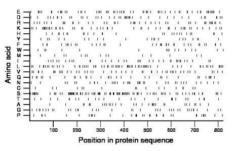 amino acid map