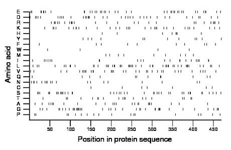 amino acid map