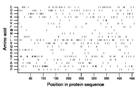 amino acid map