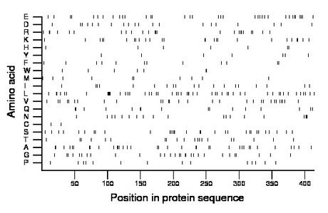 amino acid map