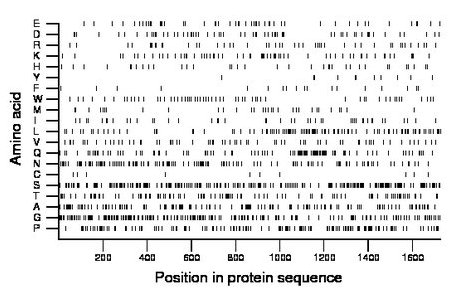 amino acid map