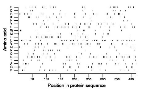 amino acid map