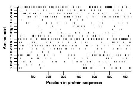 amino acid map