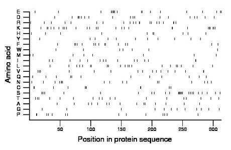 amino acid map