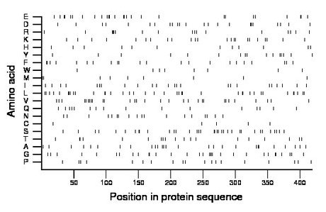 amino acid map