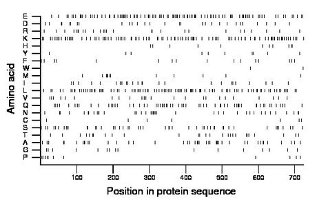 amino acid map