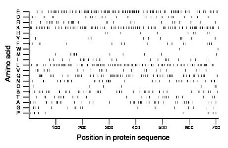 amino acid map