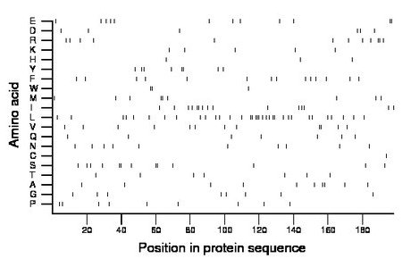 amino acid map