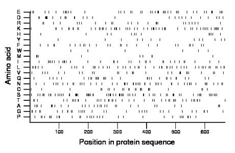 amino acid map