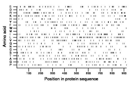 amino acid map