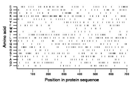 amino acid map