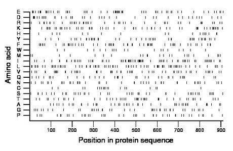 amino acid map