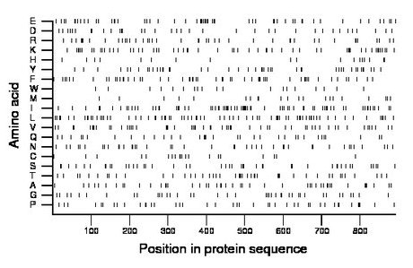 amino acid map