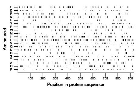 amino acid map