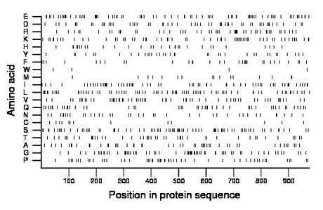 amino acid map