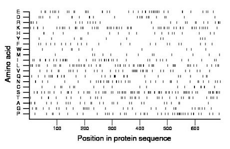 amino acid map