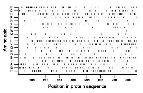 amino acid map