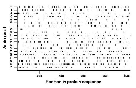 amino acid map