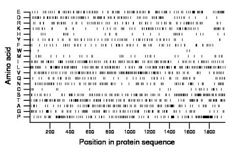 amino acid map