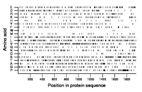 amino acid map